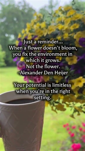 ##lifeistooshort #liveyourbestlife #wisdomquotes #motivation... #Shorts #the.bread.and.butter