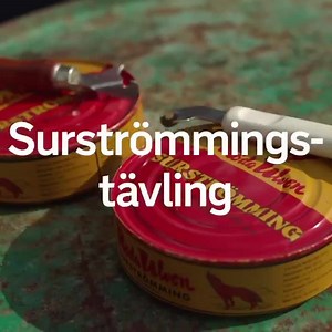 902K views · 187 reactions | Blir det ett lyckligt slut av Leif ocg...