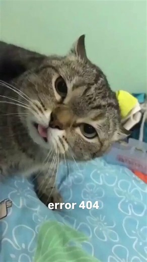 > be spaceX employee> be rustled> say spaceX sucks> go on dread> advertise being an insider threat> verified by dread as being legit spaceX employee> offer access to ransomware groups> everyone see it> everyone on telegram talking about it