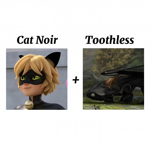 Идея не моя, сразу говорю #miraculous #miraculousladybug #ледибагисуперкот #catnoir #chatnoir #суперкот #адрианагрест #котнуар #какприручитьдракона #кпд #httyd #howtotrainyourdragon #nightfury #toothless #ночнаяфурия #беззубик #беззубикикотнуар #схожестьперсонажей #дисней #disney #дримворкс #dreamworks