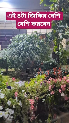 এই ৪টা জিকির বেশি বেশি করবেন। #love #viral #shorts #trending #short #islam #viral #shortvideo #fyp