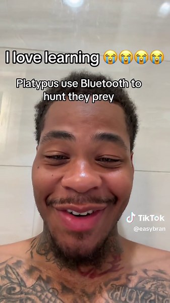 Fascinating Facts About Platypus: A Science Project in Nature