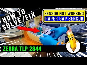 How To Solve | Fix | Sensor Gap Not Working | ZEBRA TLP 2844
