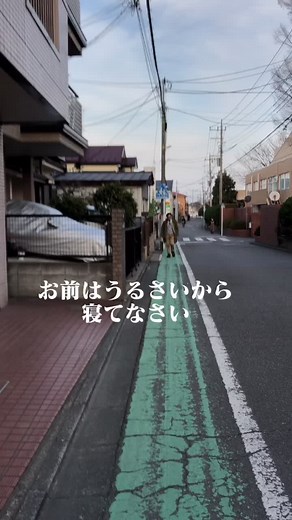 Exploring Urban Life in Japan: A Journey Through the Streets