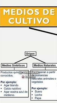 ¿Qué son los Medios de Cultivo? #shorts