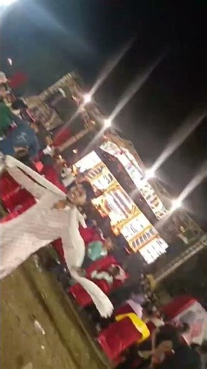 great Pushpa raj garba dance! AMAZING Pushpa Raj Garba Dance Performance!! #shorts