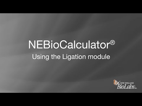 NEBioCalculator® - Using the Ligation module
