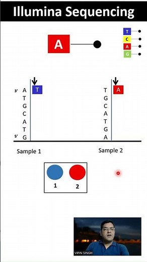 Sequencing Basics - #Illumina