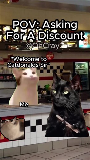 @ohcrayz on Instagram: "Can I have a discount please? 凉 #relatable #cat #funny #work #reelschallenge"