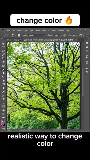 Mastering Color Adjustments in Photoshop: Tips & Tricks