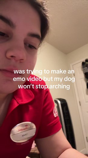 Cute Dog Edit: Emo Vibes with a Playful Pup