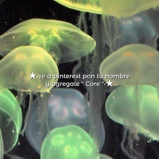 Diego core | #CapCut #fyp #Diego #vibe #trend #pinchetiktokponmeenparatialv #pinchetiktokponmeenparati😘