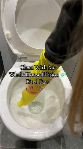 Whole House Cleaning Routine: Speed Clean with Me