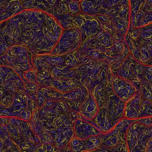 Watching an Algorithm Paint