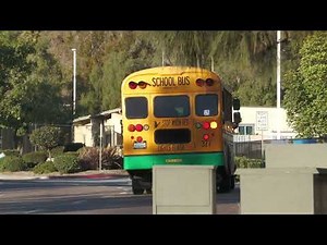 School Bus - Blue Bird Vision Electric #377 CVESD