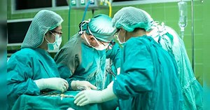 US: Pig kidney functions successfully in human body for more than a month