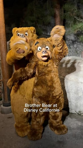 Debbie Wilson on Instagram: "Brother Bear (Kenai and Koda) at Disney California Adventure for the Disney Vacation Club event! * #brotherbear #kenai #koda #philcollins #disney #disneyland #disneyparks #dvcmember #moonlightmagic"