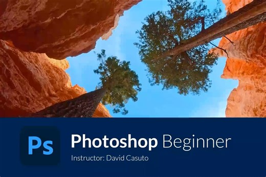 Learnit Photoshop Full Course Tutorial (6  Hours) 中英字幕