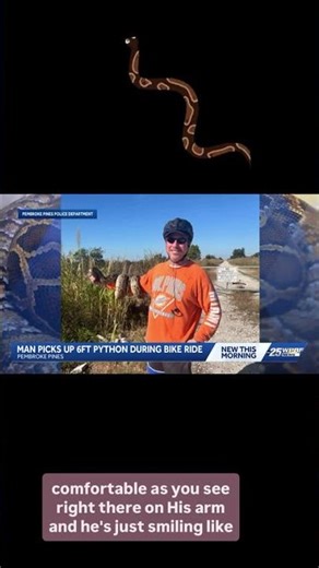Man picks up 6ft python during bike ride in South Florida
