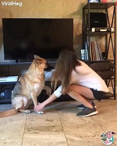 83K views · 1K reactions | That's one way to get those nails clilpped! ✂ | ViralHog | Facebook