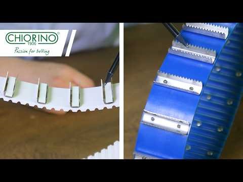 Timing belt for a fish filleting machine