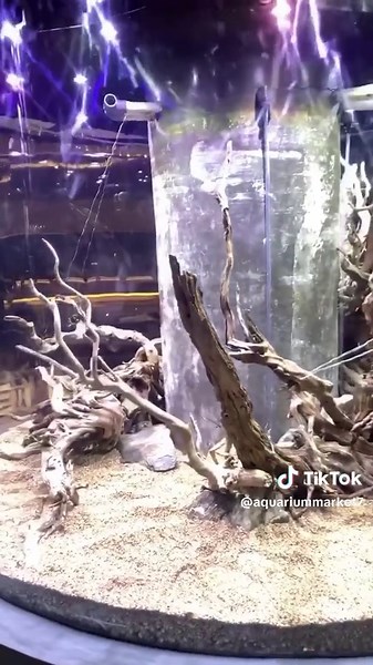 Throwback to the making of this giant cylinder in Indonesia with my great friend and brother. A build that pushed skill, patience, and creativity to the limit. #Aquascaping #GiantAquarium #CustomAquarium #AquariumEngineering #aquarium