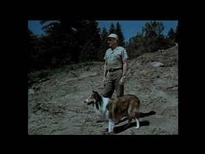 Lassie - Episode #454 - "The Homeless" - Season 14, Ep. 7 - 10/22/1967