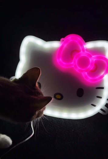 Hello Kitty Finds at Walmart: Neon Light Treasures