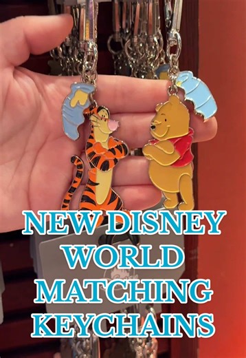 Adorable Mini Disney World Matching Keychains