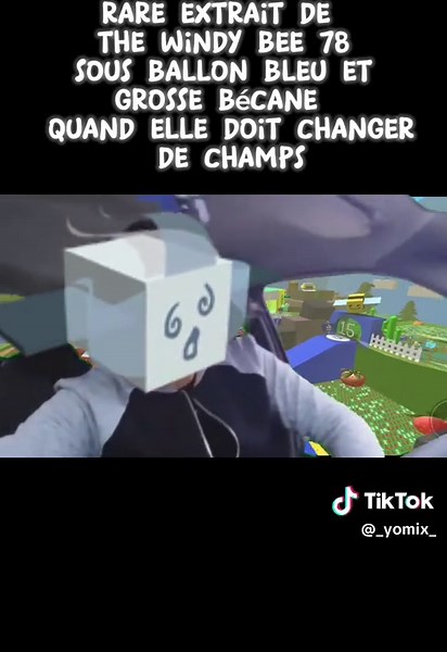 Découverte de Beeswarm Simulator