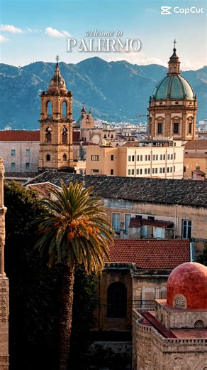 Palermo – wo Geschichte auf Gold trifft. ✨🏛 Jeder Schritt erzählt eine neue Geschichte 😍 Plant ihr Urlaub in Sizilien? ☀️🏝️ 📩Schreibt uns jederzeit – wir helfen euch persönlich bei Orten, Aktivitäten, Unterkünften und allem, was euren Urlaub unvergesslich mach 🙌🏻✈️💚 📞 49 15567422424 Whatsapp FACEBOOK: https://www.facebook.com/profile.php?id=61570819840842 INSTAGRAM: https://www.instagram.com/deine_freunde_aus_sizilien?igsh=NjN2ZTlwbjU5OG8w&utm_source=qr EMAIL: deinefreundeaussizilien@gma