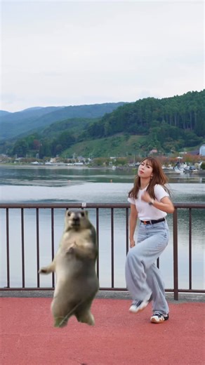 PIRO🦋 on Instagram: "このリスさん、キレキレすぎない？🤣 #fyp #dance #trending"