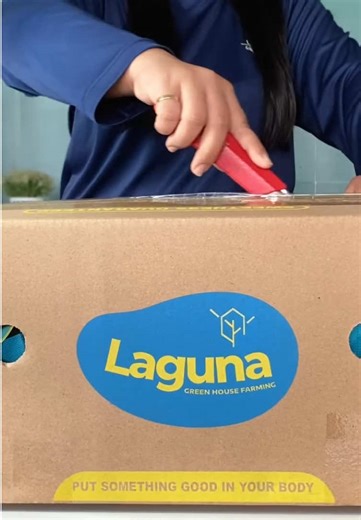 Guess What's Inside the Melon!