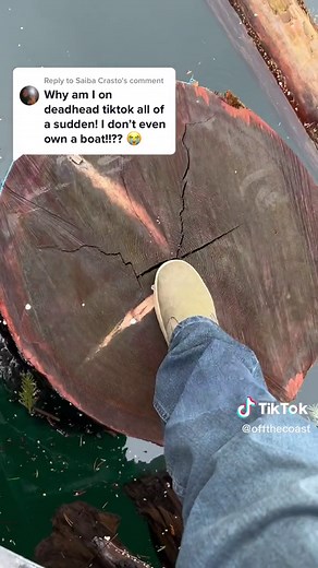 Replying to @Saiba Crasto deadhead part 6 #boating#ocean #danger#logging#boat#deadhead#fyp#flexeveryangle #submechanophobia