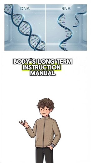 DNA vs RNA - what's the difference? 🤔 #biology #science