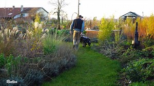 Vous avez une vieille brouette ? Vous avez des endives ? Pourquoi ne pas les forcer dedans ? Hubert vous explique comment faire. | Rustica