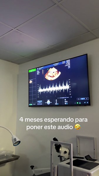 Descubre el Género del Nuevo Saiyajin que Llegará