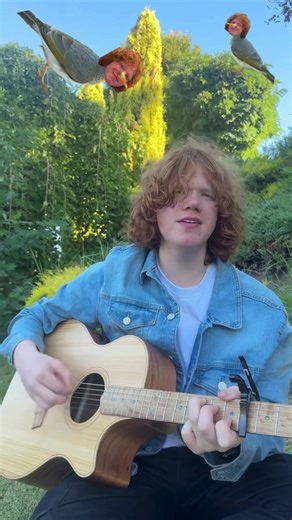 Cover of 'I'm Like a Bird' by Nelly Furtado
