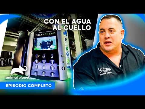 Full Episode | Up to Our Necks in Water - S4 Ep5 | Animal Planet Latin America