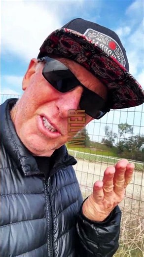 Fireball's Top 10 Cartoon TV Cars - Fireball Tim BEST OF SHOW