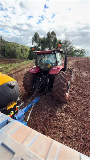 Como plantar a semente correta para agronomia e agricultura de precisão
