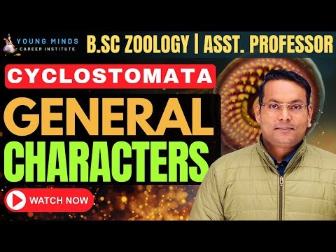 Cyclostomata: General Characters and Classification | B.Sc Zoology