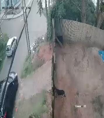 UN MOTOCICLISTA CHOCÓ CONTRA UNA CAMIONETA EN RIVERA: ESTÁ EN CTIUn motociclista fue internado en CTI tras un choque con una camioneta en Rivera. El impacto ocurrió en una esquina y quedó registrado en video. La difusión generó debate sobre responsabilidades.Choque en esquinaEl accidente ocurrió en Juana de Oriol y Francisco Acuña de Figueroa. La moto impactó contra el lateral de una camioneta. El conductor cayó con fuerza al pavimento. El motociclista fue auxiliado por el otro conductor. Tambié