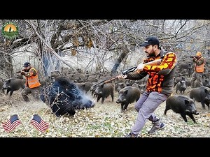 How Texas Farmers Are Fighting Back Against 9 Million Invasive Hogs | wild boar hunting