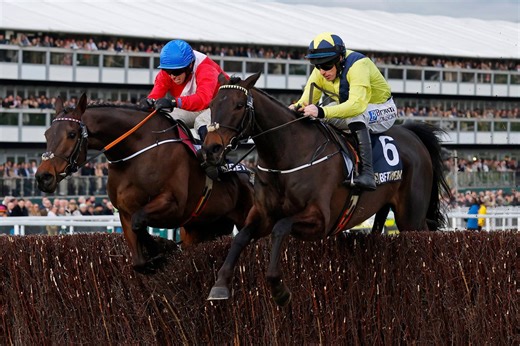Cheltenham Festival 2026: How to watch every race online and on TV