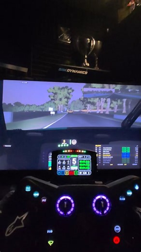 One of the most challenging sections of race track in the world. If a 55 year old can learn it... so can you. | Sim Dynamics