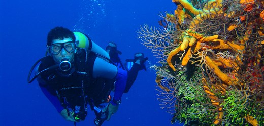 Caye Caulker Scuba Diving - Iguana Reef Inn
