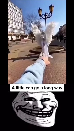 Happy Troll on TikTok