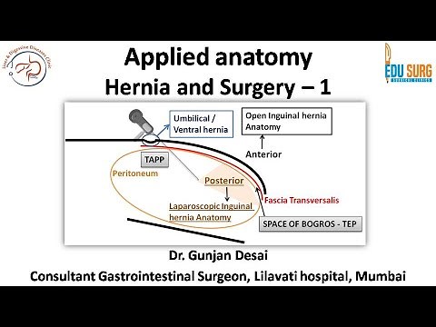 Mastering Hernia Surgery - 1: Applied anatomy for ventral hernia and Groin hernia - Edusurg Clinics