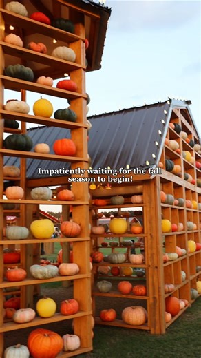 🍁✨ Fall at Sara’s Farm Adventure is returning Sept 19th! From cozy fall treats to photo-perfect moments and 25 attractions, it’s the ultimate fall destination in SC! ✨ 📍 Just 30 minutes from Augusta, GA 📅 Thurs: 5pm – 10pm (Adult Night) | Fri – Sun: 10am – 10pm | Sara's Farm Adventure